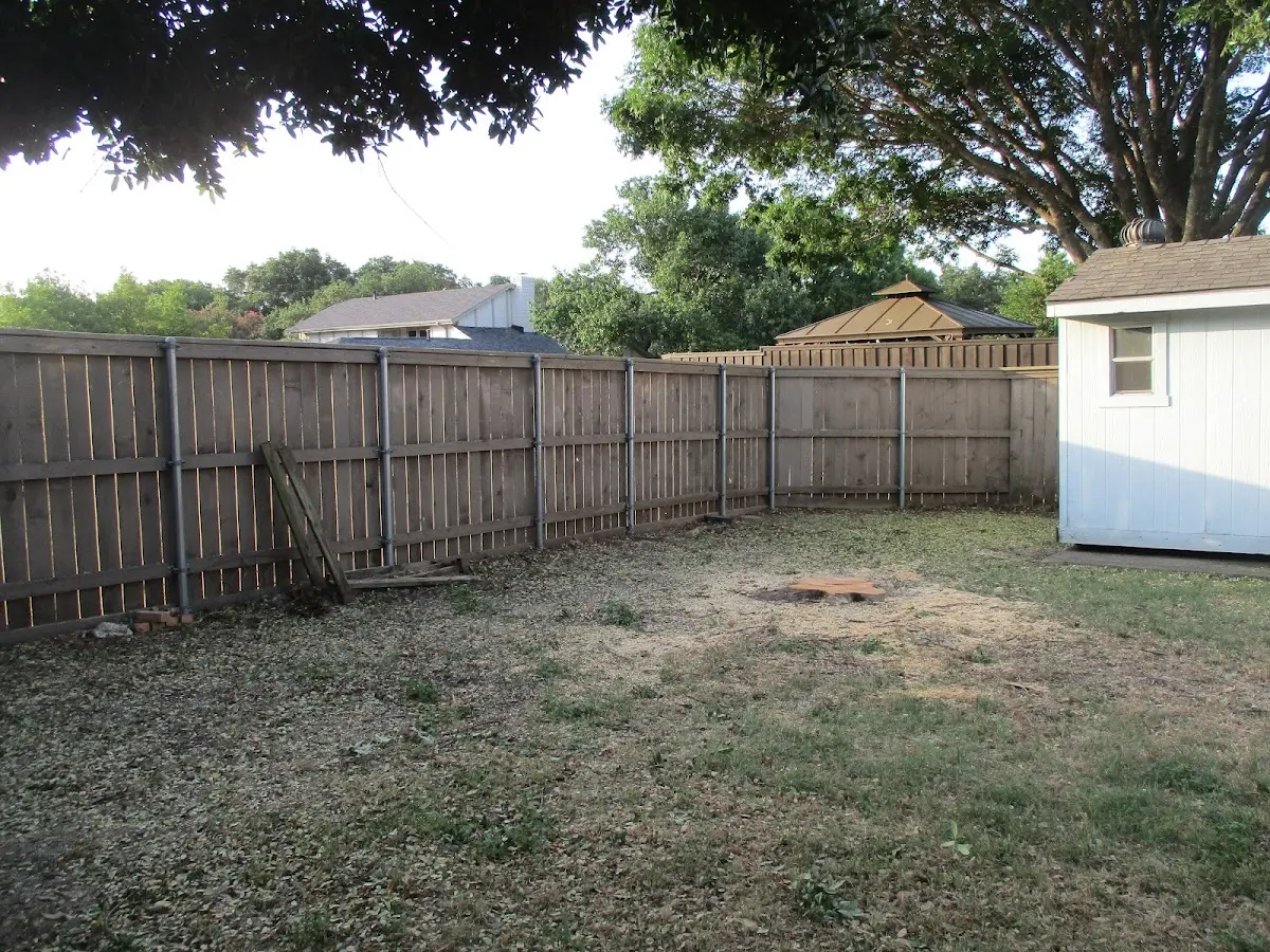 Cleared yard after professional tree removal in Hawthorne