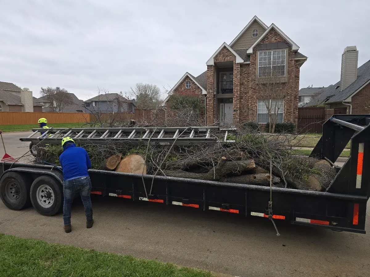 Expert Tree Fertilization with proper safety equipment in Hawthorne